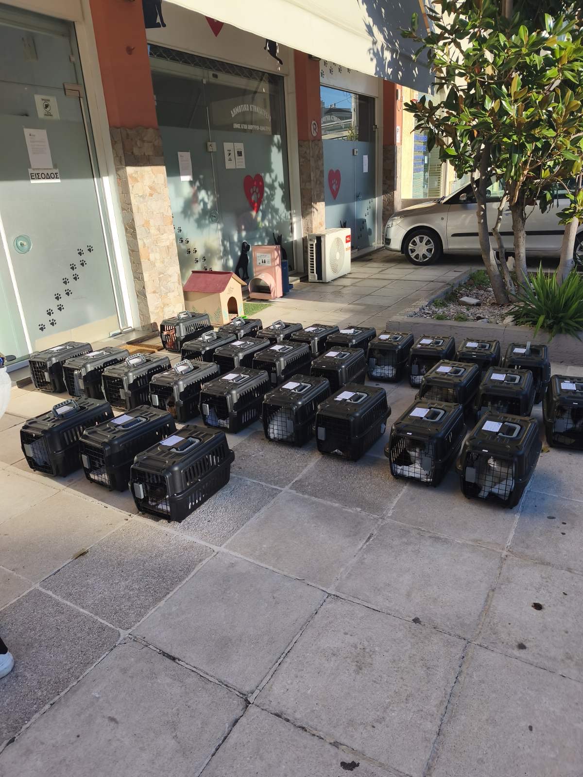 Πρόγραμμα στειρώσεων στον Δήμο Αγίων Αναργύρων-Καματερού